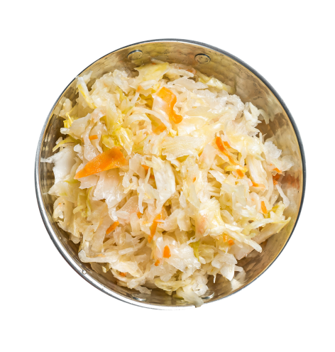 alimentos fermentados
