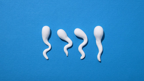 Can semen microbiome health affect male infertility?