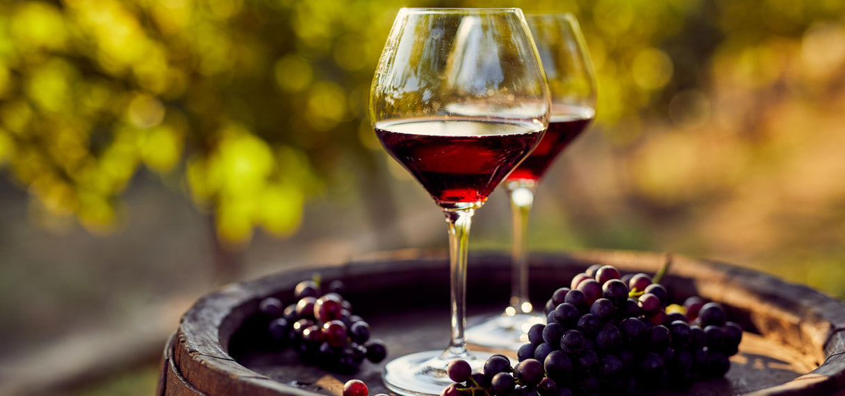 Is wine good for you?