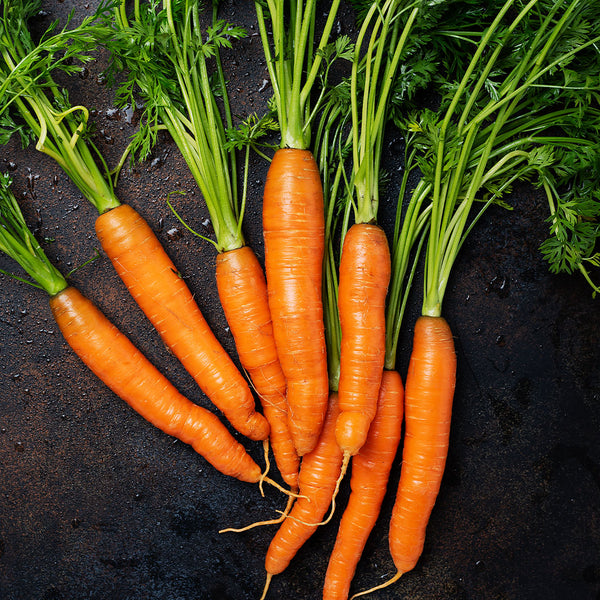 Carrot Fibre