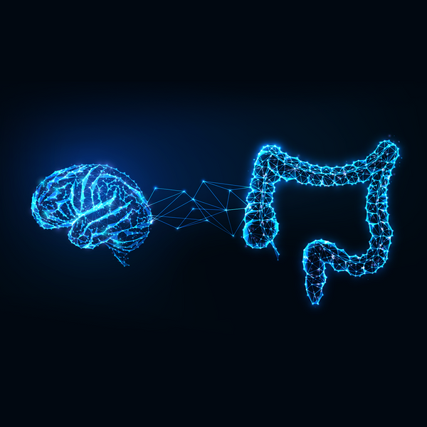 Why your gut is your second brain