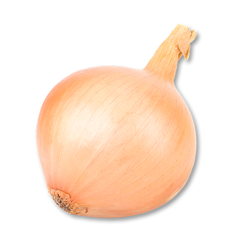 Onion