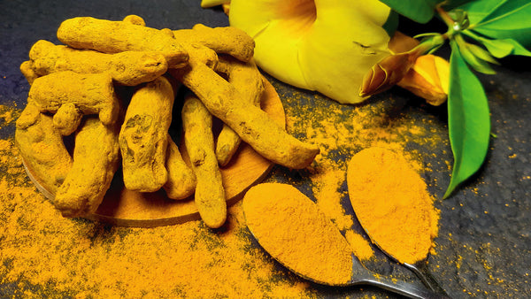 What is Curcumin and why is it important?